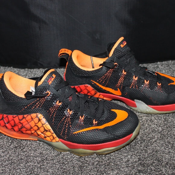 lebron snakeskin shoes